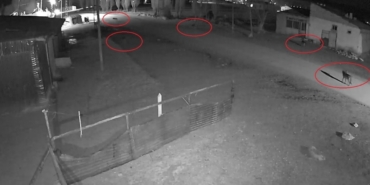 Bayburt’ta 5 kurdun köpeği tuzağa çektiği anlar kamerada
