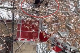 Bayburt’ta ağaç dallarına dolanan kargayı itfaiye kurtardı