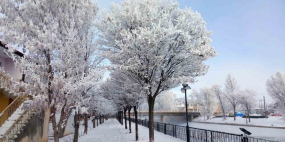 Bayburt’un Arpalı Beldesi güne kar yağışıyla uyandı
