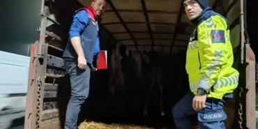 Belgesiz hayvan sevkine ceza: Hayvanlar işletmeye iade edildi