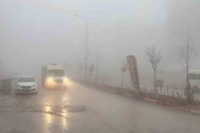 Besni’de yoğun sis etkili oldu