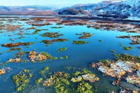 Beyaz gelinliğini giyen Ladik Gölü’nün güzelliği göz kamaştırdı