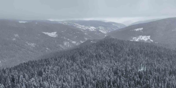 Beyaza bürünen Ilgaz Dağı havadan görüntülendi