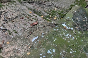 Beyoğlu’nda ağacın kırılan dalları binanın üzerine düştü