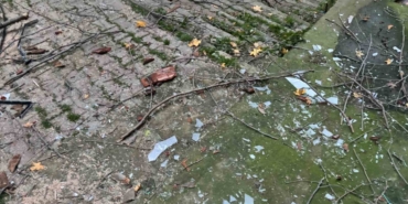 Beyoğlu’nda ağacın kırılan dalları binanın üzerine düştü