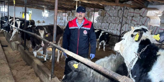 Beyşehir’de hayvancılık faaliyetleri yakın takipte