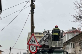 Beyşehir’de itfaiye merdiveni bu kez direğin tepesindeki kedi için uzatıldı