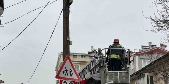 Beyşehir’de itfaiye merdiveni bu kez direğin tepesindeki kedi için uzatıldı