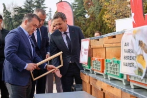 Bilecik’te bu yıl 126 bin 524 kilogram bal üretildi