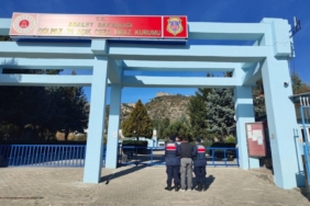 Bilecik’te orman suçundan aranan şahıs yakalandı