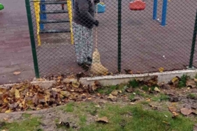 Bilecik’te temizlik seferberliği