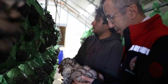 Bilecik’te yüzde 100 hibeli istiridye mantar üretimi başladı