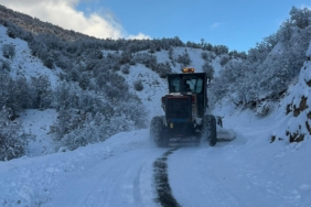 Bingöl’de kardan dolayı kapanan 75 köy yolunda çalışmalar sürüyor