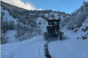 Bingöl’de yoğun kar yağışı: 100 köy yolu kapalı