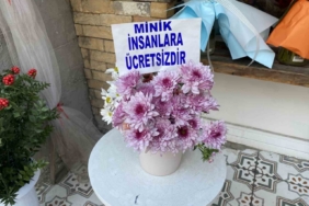Bir saksıya ayırdığı çiçekleri küçük çocuklar için ücretsiz yaptı