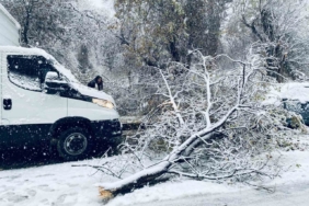 Birecik’te karın ağırlığına dayanamayan ağaç dalları araçların üzerine devrildi