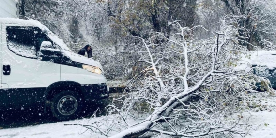 Birecik’te karın ağırlığına dayanamayan ağaç dalları araçların üzerine devrildi