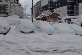 Bitlis’te arabalar ve tek katlı evler kara gömüldü