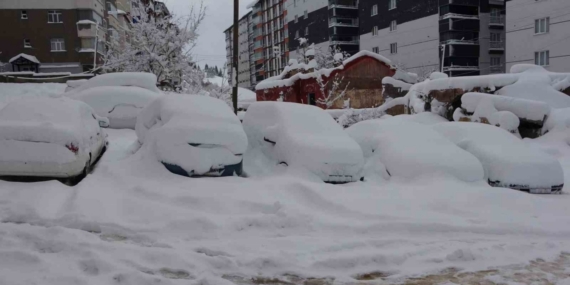 Bitlis’te arabalar ve tek katlı evler kara gömüldü