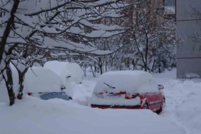 Bitlis’te kar yağışı nedeniyle 87 köy yolu ulaşıma kapandı
