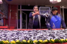 Bolu’da hamsinin kilosu 150 liraya düştü