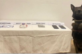 Bolu’da jandarmadan uyuşturucu operasyonu