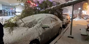 Bolu’da park halindeki araçların üzerine ağaç devrildi
