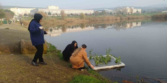 Botanik Bahçesinde "Yüzen Adacıklarla Gölet Temizliği" yapılıyor