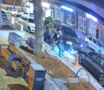 Bu da ağaç hırsızlığı: Parktaki ağacı araçla çaldılar