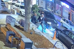 Bu da ağaç hırsızlığı: Parktaki ağacı araçla çaldılar