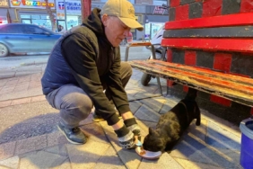 Bu taksi durağı esnafın hayvan sevgisi ile öne çıkıyor