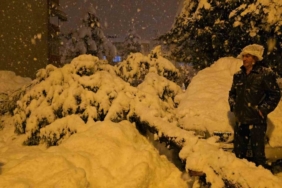 Çam ağacı park halindeki iki aracın üzerine devrildi