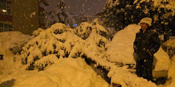 Çam ağacı park halindeki iki aracın üzerine devrildi