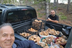 Çameli’de cintar bereketi