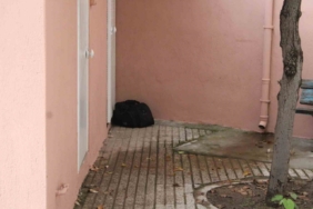 Camii avlusunda şüpheli çanta paniği