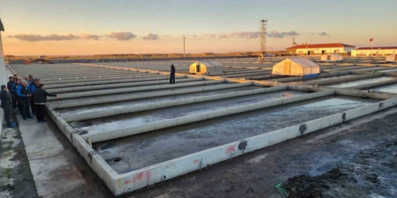 Çanakkale’deki deniz solucanları yetiştiriciliği tesisi sektörde tek