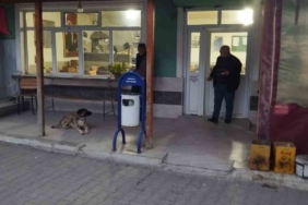 Çanakkale’deki köy kahve ihamesinde inatlaşma: Kira 126 bin TL’yi görünce yeniden ihaleye çıkılacak