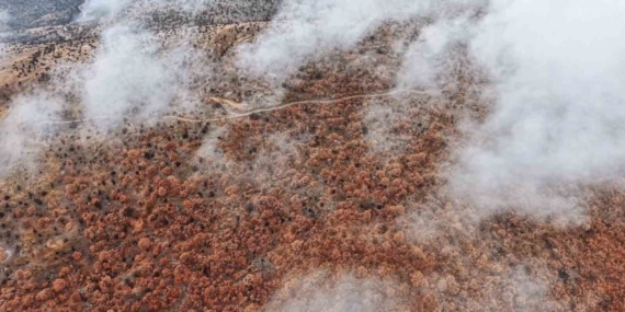 Çankırı’da sis ve kızıla bürünen ormanların buluşması mest etti