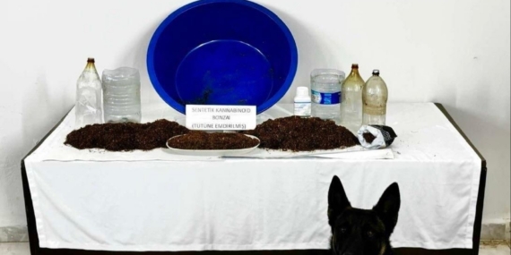 Çankırı’da uyuşturucu operasyonu: 1 gözaltı