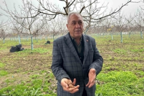 Cevizle yaşam şartları değişen köyde İstanbullular da bahçe kuruyor