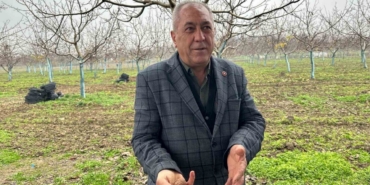 Cevizle yaşam şartları değişen köyde İstanbullular da bahçe kuruyor