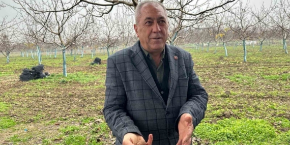 Cevizle yaşam şartları değişen köyde İstanbullular da bahçe kuruyor