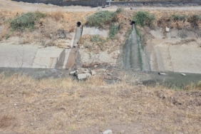 Çevreyi kirleten işletme hakkında yasal işlem başlatıldı