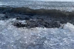 Çıldır Gölü’nde buz kütleleri sahile vurdu