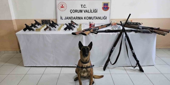 Çorum jandarmasından ’düğün magandaları’na operasyon : 11 gözaltı