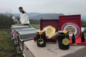 Dededen gelen arıcılığı profesyonelleştirdi, ürettiği bal dünyada zirveye çıktı