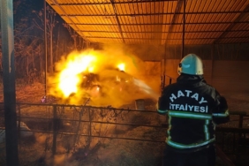 Defne’de samanlık yangını