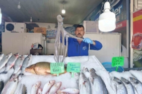 Denize kıyısı olmayan Kahramanmaraş’ta balığa yoğun ilgi