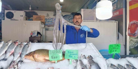 Denize kıyısı olmayan Kahramanmaraş’ta balığa yoğun ilgi