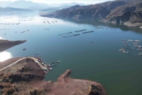 Denizi olmayan Tokat’ın somonları dünya sofralarına ulaşıyor